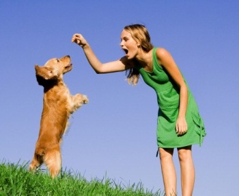 ������������� �������� � ������� �������