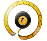 Glorylogic �������� ���� ��������� Workshop 5.4, True Burner 2.3 � Image Tuner 4.8 