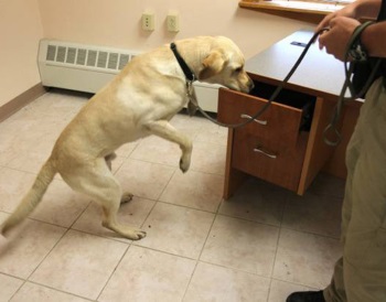 ������ �������� ������ ����������� �������