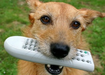 ������ � ���� ��������� ��� �����