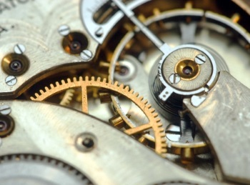 ������ ���� ����� �������� ���������