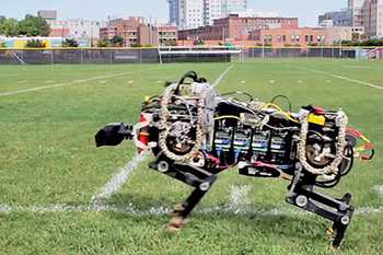 �����-������ �������� ������ ��� �������