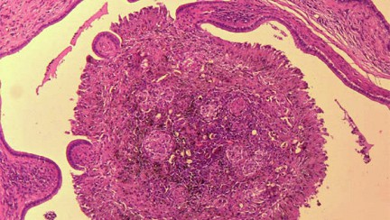 ������ ������� ��������� ����� ��������� � ���������� �������