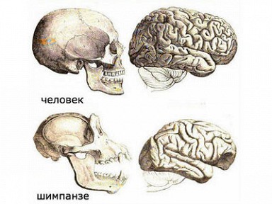 � ����� �������� �������� ���������� ���������