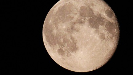 ������ ����� �������� �������� ����