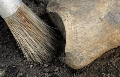 ������ ������� ����� ��� ������������ ��������, �������� ������� �������� �����