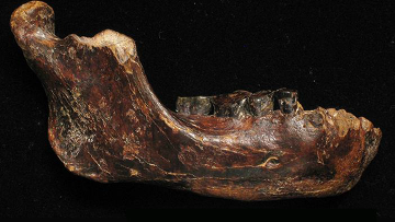 ���� �������� ��������� �������� �� �������� � ������������ ������