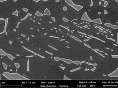 ����� �������� ����� �������� ������� ������