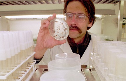 ������������� ������ �������� � 2018 ���� �������� ��������� ������� �������� ��������