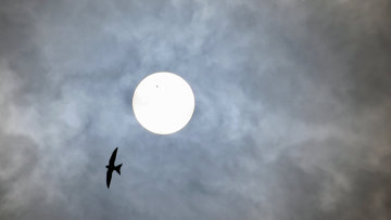 � ���� ��� ����������� ������ ���� ������