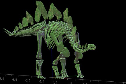 ������ ����������� ��������� �� ��������