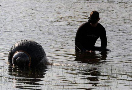 ������� ������ ��� �������� ����������� ���-�������