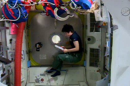 ���� ������ ������-���������� ������ � �������� ������ ����������� ���