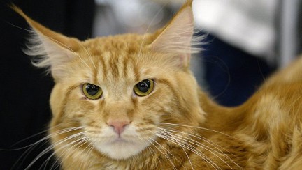 ����� �������� ������ ������, ��� ����