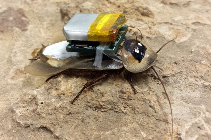 ����������-��������� ��������� ��������� ������������