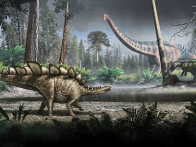 ���������� ����������� ����� ���������� ��� ���������� ����