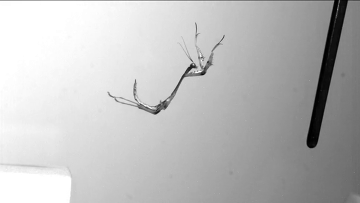 ������� ������� ����� �� ������ ������ ���������� ��������� � ����