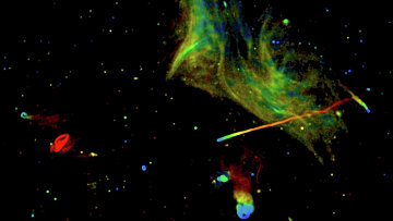 ��������� �������� ������ ����������� �������������� ��� �� ���������