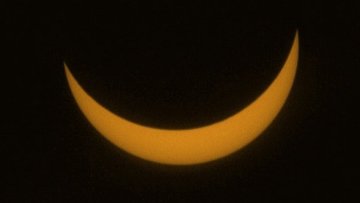 ��������� �������� ����� ����� ������� 20 �����