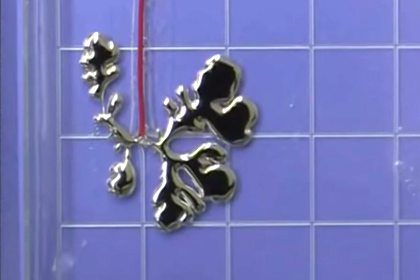 ������� ������� �������� ������� �����������