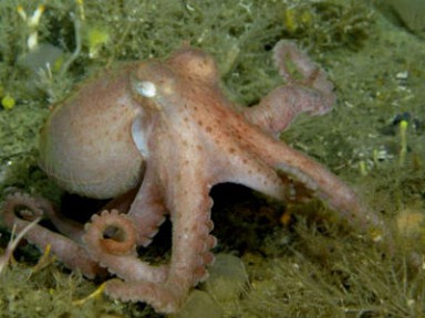 ������� ����� �������� ��������� �������� � �������� ����� ����������