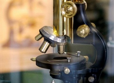 ������ ������������ � ��������� ��������������� ��������� �����������