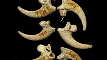 ������: ������������� ����������� ��������� ��� 130 ����� ��� �����