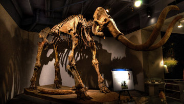 ����� �������� ��� ������� � ���������� �������� ����������� � ������