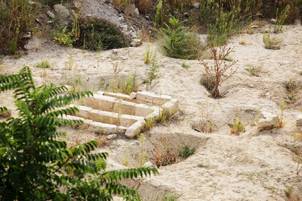 ������: ��������� ���� ���-��������� ������� �� ���������� ����������