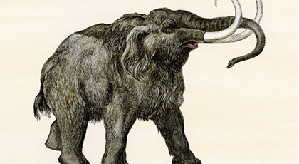 �������� ������������ ����������� ��������