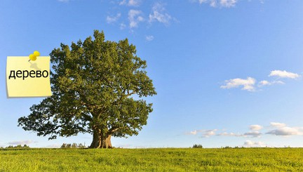 ����� �������� ����� ���� ���� ������������ �� ��� �����������