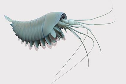 � �������� �������� ������� ����� ������������� ����������