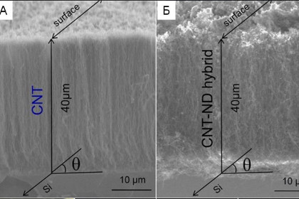 ��������� ������ ������� ��������� ����������� �� ���������� ������������