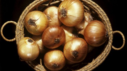 ������ ����������� ���������������� ���� ���� ���� ����