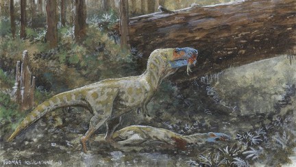 ������������ ����� ����� ����� ������������ ����� �������������