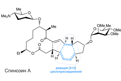 ���������� ������ �������� �������� ��������� ���������� �����������