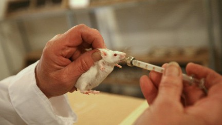 ������������ ������� �������� ����� � ����������� � ����������