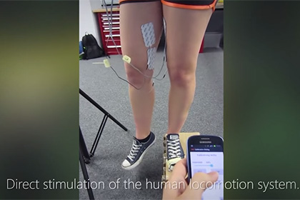 �������� ��������� ������������ ���������� ��������� �� ������� ��������