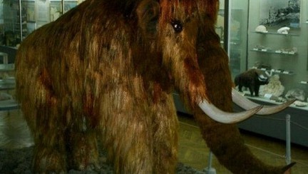 ������ ��������� ������������ ��� ����������� �������