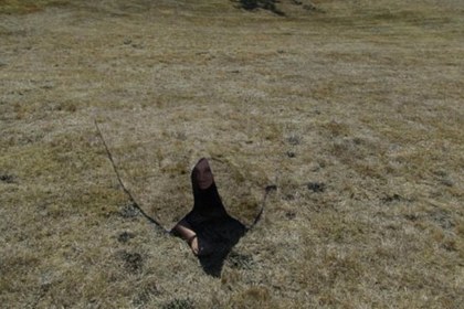 ������������ ����� ���������� ������-���������