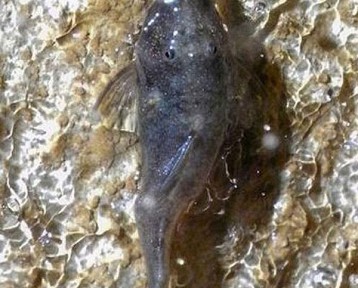 ������� ������ � ���������� �� ������ ������