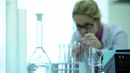 ����� ����������� ��: ������ � �������� ������������ Springer ����� �����������