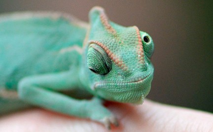 ��������: ��������� �������� �������� ������������ ������� ������