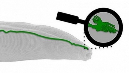 ������ ������� ���������� ������� ���������� ���� � ����� ���������