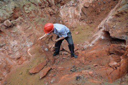 � ������ ������� ������� ��� ��������� ������ ����