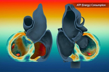 ������ ����������� ����������� �������� �� ��������� ������