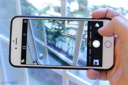 ����� ������ iPhone ����c��� 12-�������������� �������