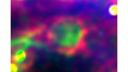 ����������� �������� ����������� ������ ���� ������ ������ ������