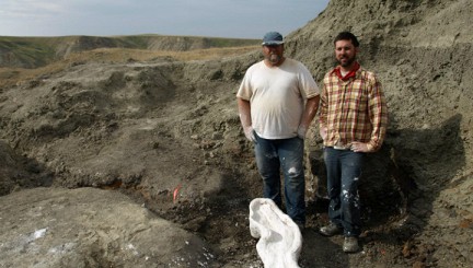 ������������ ����� ������� ��������� � ������ � ����� �������