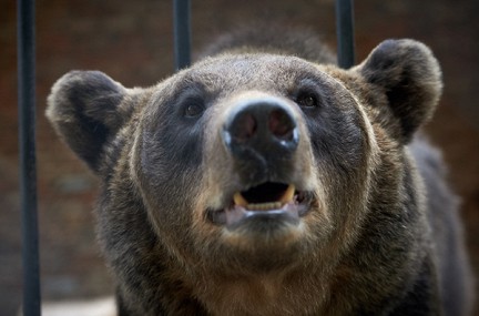 ���������� ����� �������� ������ ������ � ������� ��������